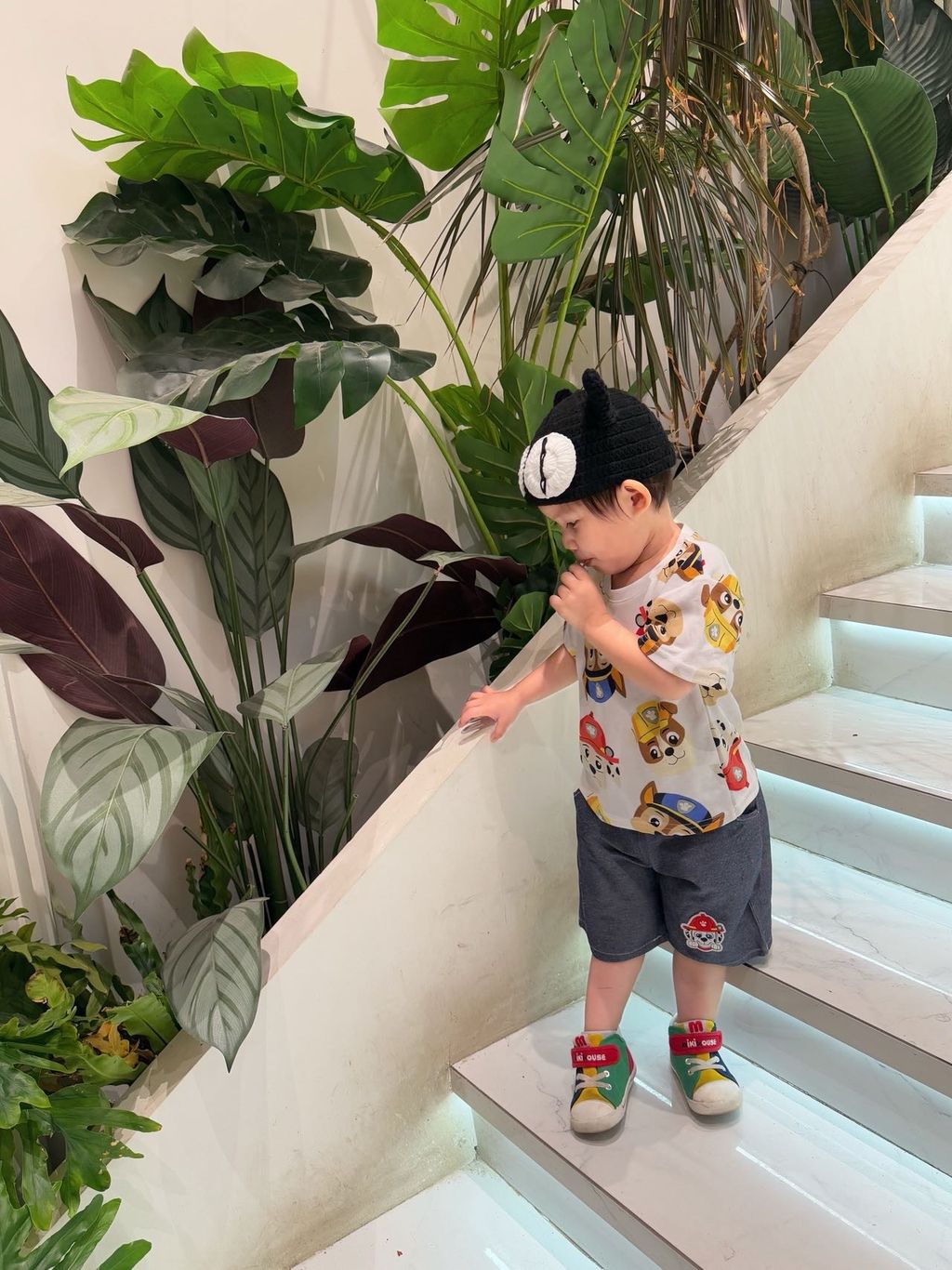 image_6368E889-0E26-462D-B52F-36A1AED3E6CB_1772120196