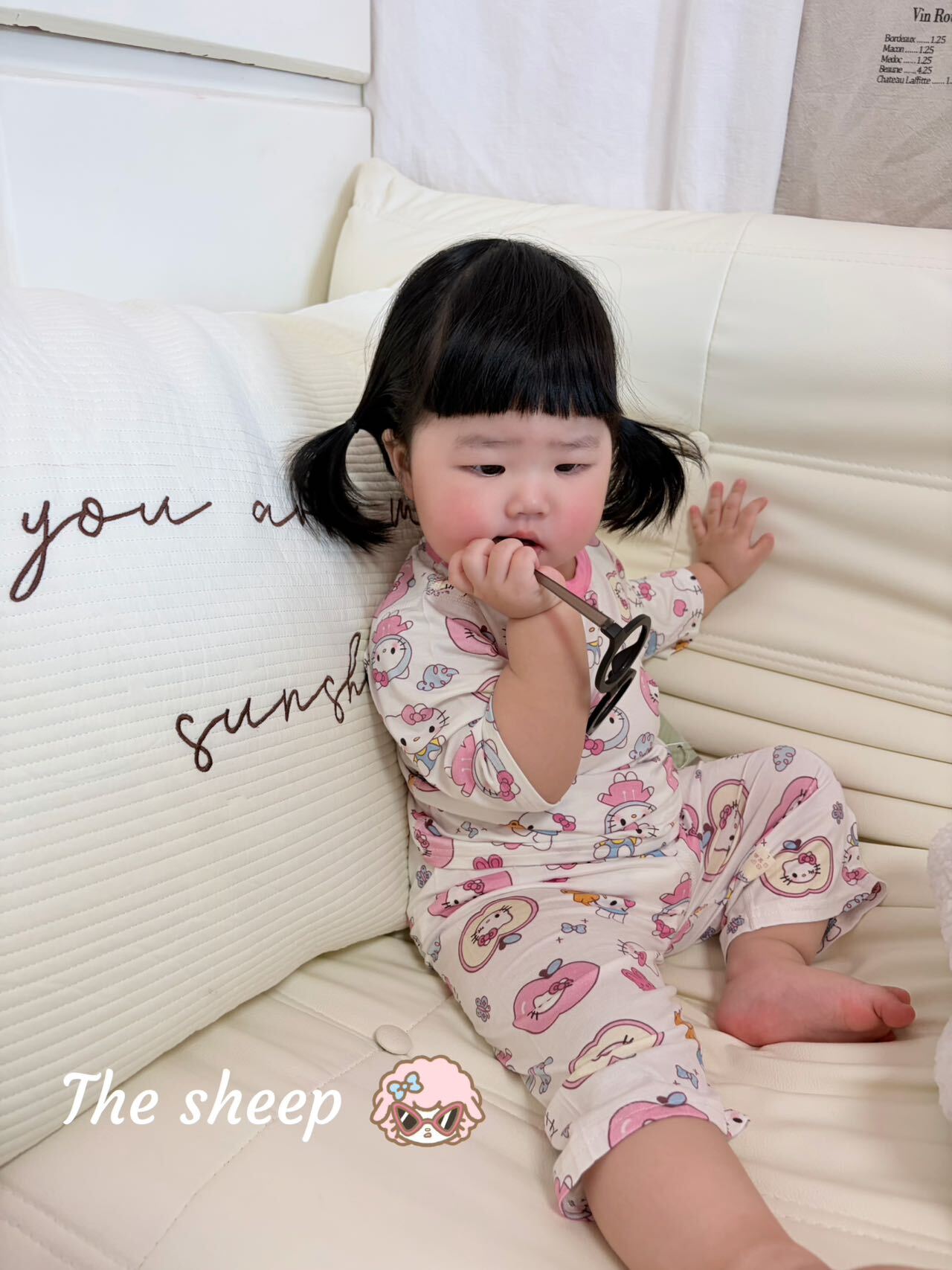 image_498ECA7C-E184-404D-85DB-68536D08DA6C_1772268484