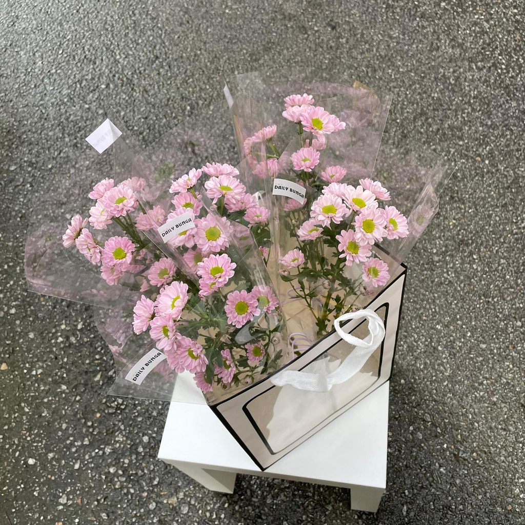 WhatsApp Image 2025-07-07 at 18.28.21_e75dc92b