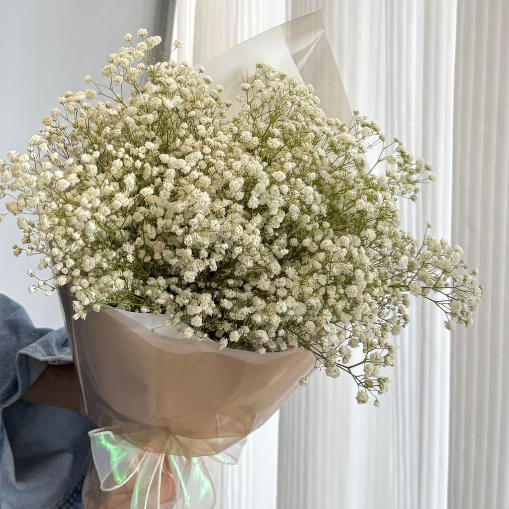 WhatsApp Image 2025-07-07 at 19.18.45_cd1d14bd