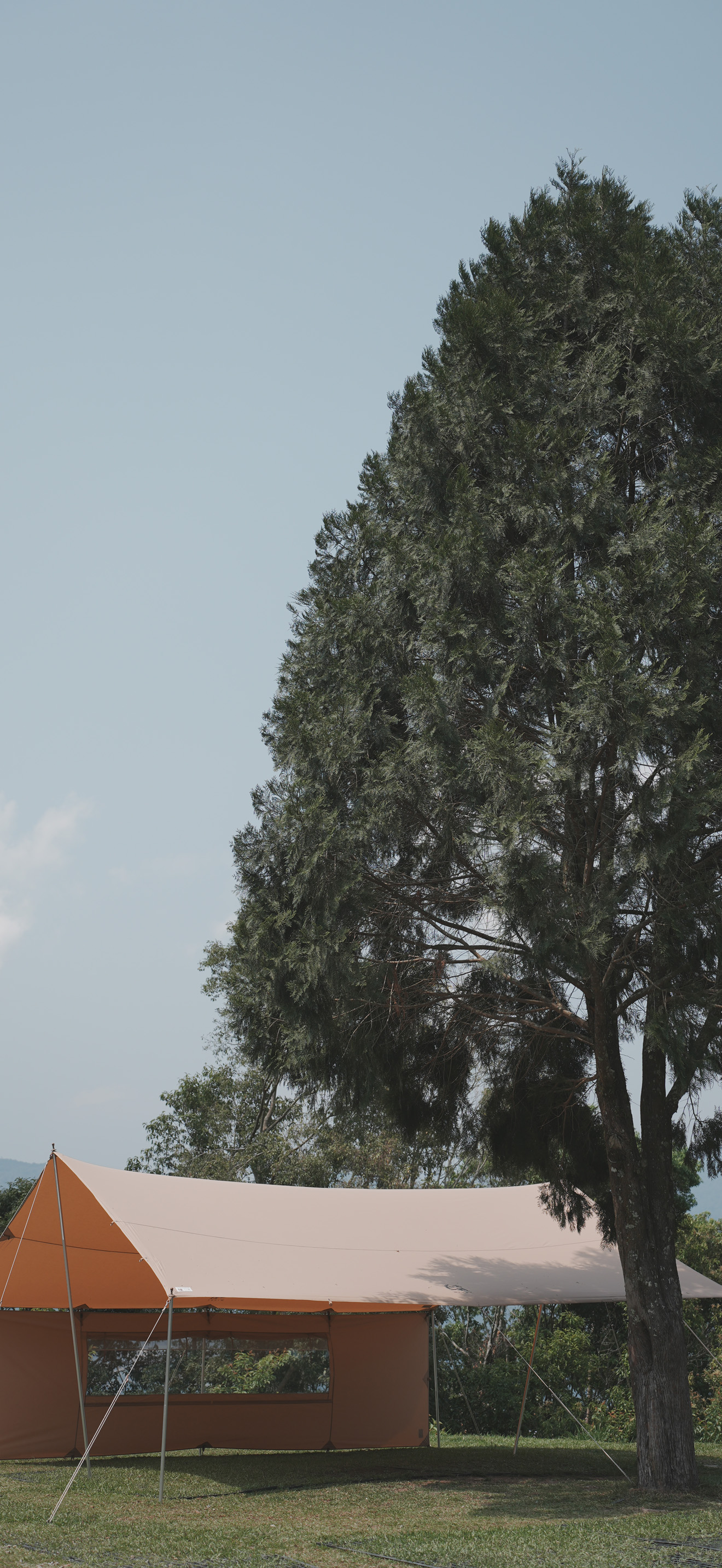 MIUDY T/C TARP | Miudy Clubhouse