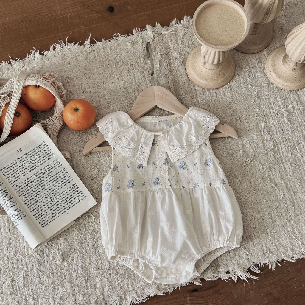 IMG_6739-1740655565476