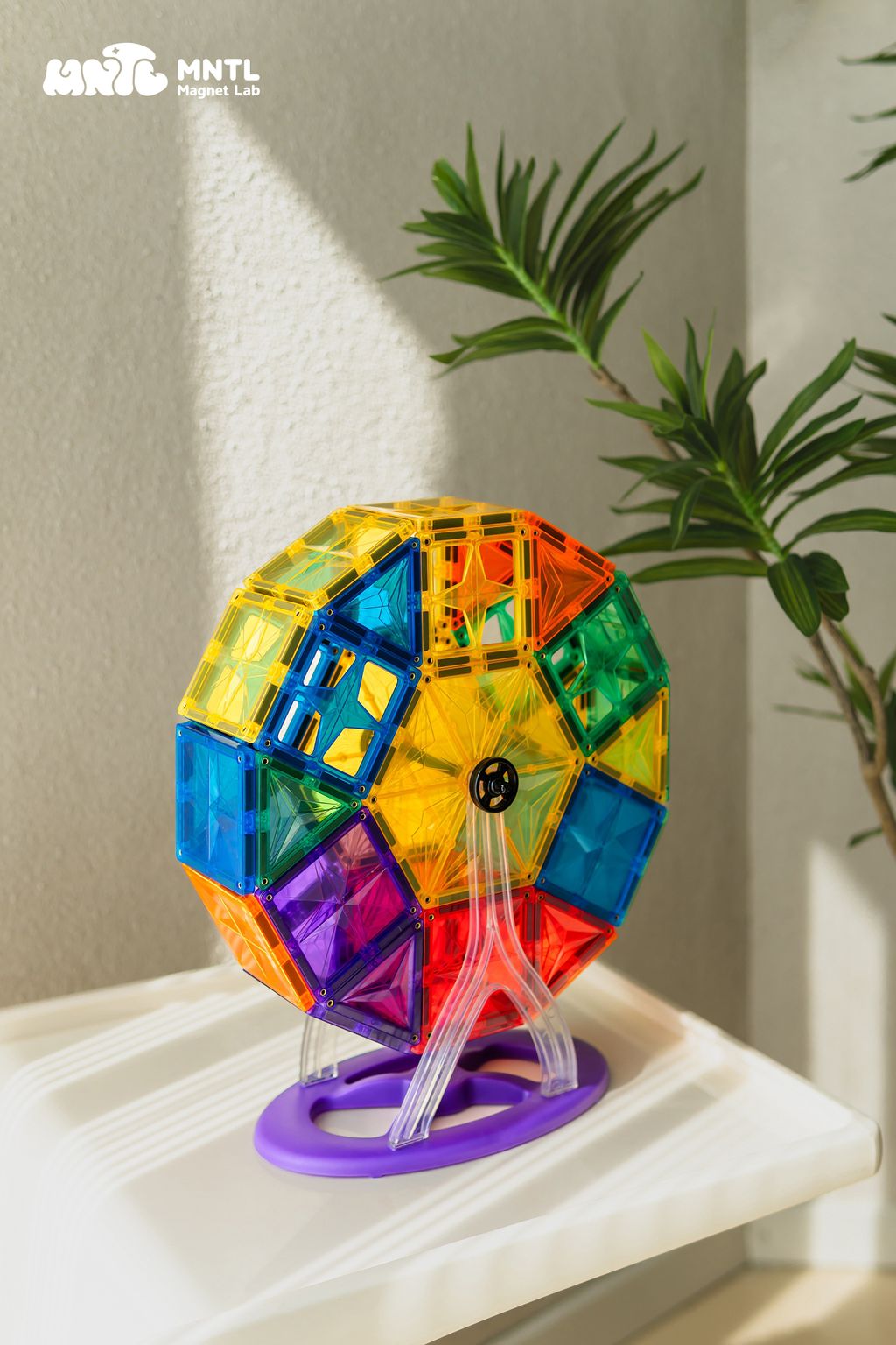 摩天輪lifestyle11