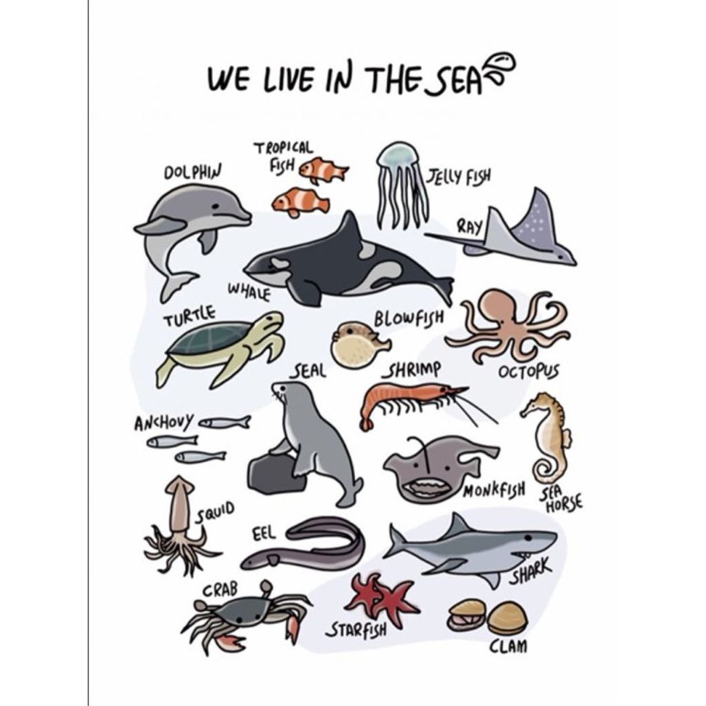 tw-11134207-7r98q-lnkz3aiqoxmh0f