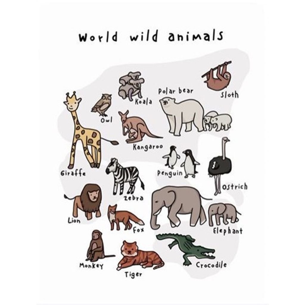 tw-11134207-7r98t-lnkz3aiqqc6xdc