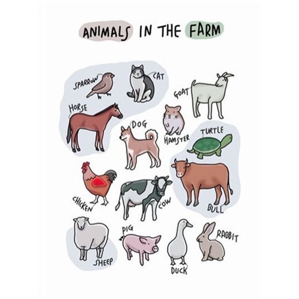 tw-11134207-7r98y-lnkz3wq475899c