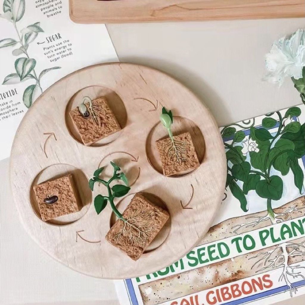 tw-11134207-7r992-lnl2uuspw9q1f2