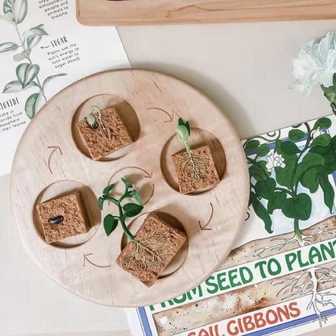 tw-11134207-7r992-lnl2uuspw9q1f2