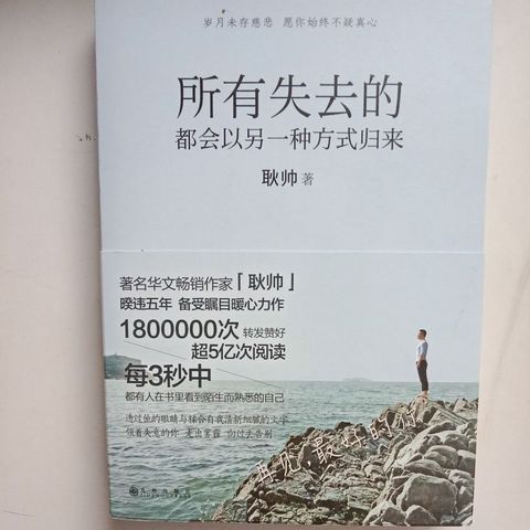 my-11134207-7rash-md9wggr1qsz377