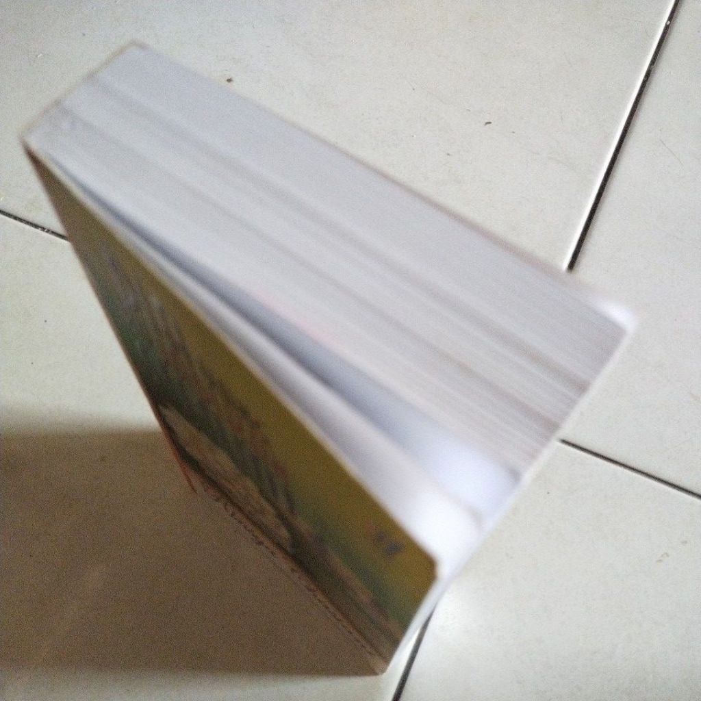 my-11134207-7rasl-mdpwol9b2vgfd6