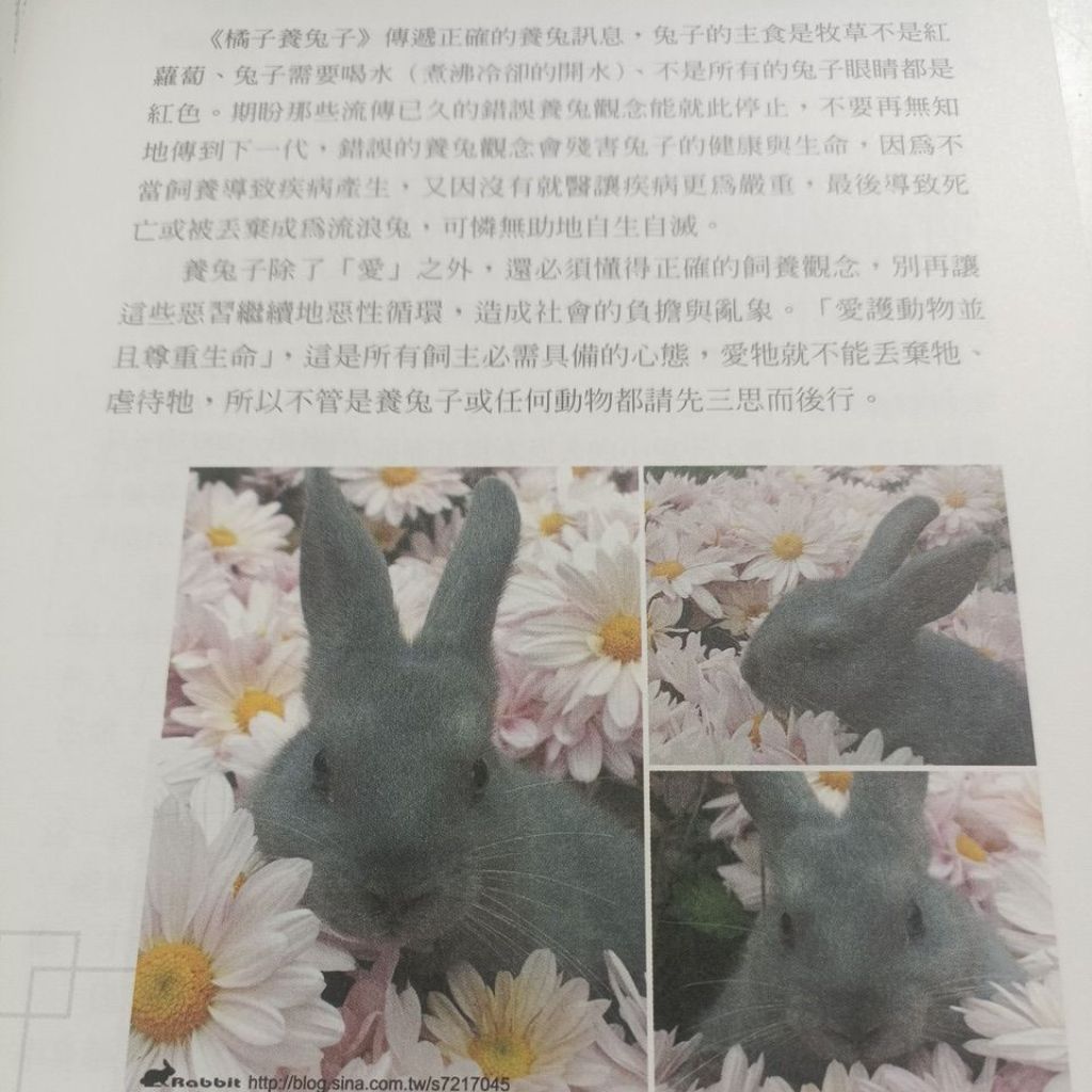 my-11134207-820lc-mecdgraaeww132