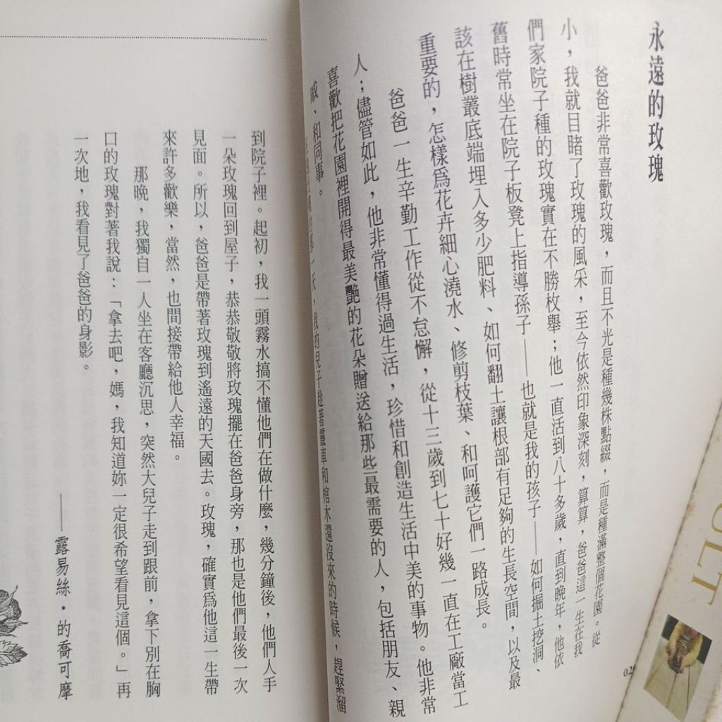 my-11134207-820lg-mg0i2xeqtnv1e5