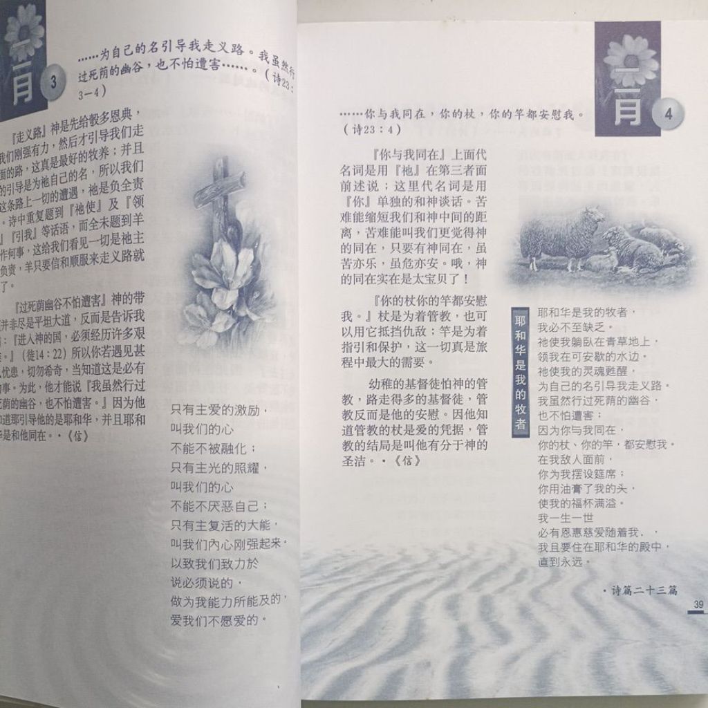 my-11134207-820ld-mg8pubpm6yvfc9