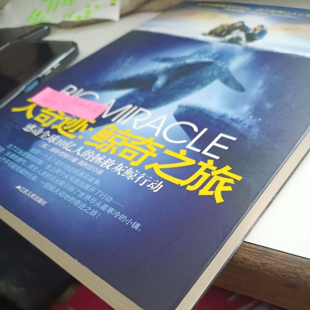 my-11134207-820lh-mmicrtnw9a8586