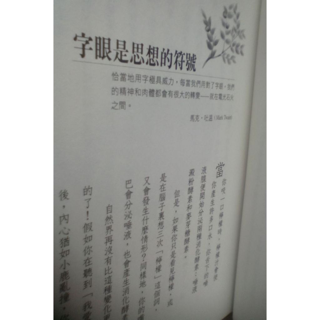 my-11134207-820ld-miwdoqg6sl5202
