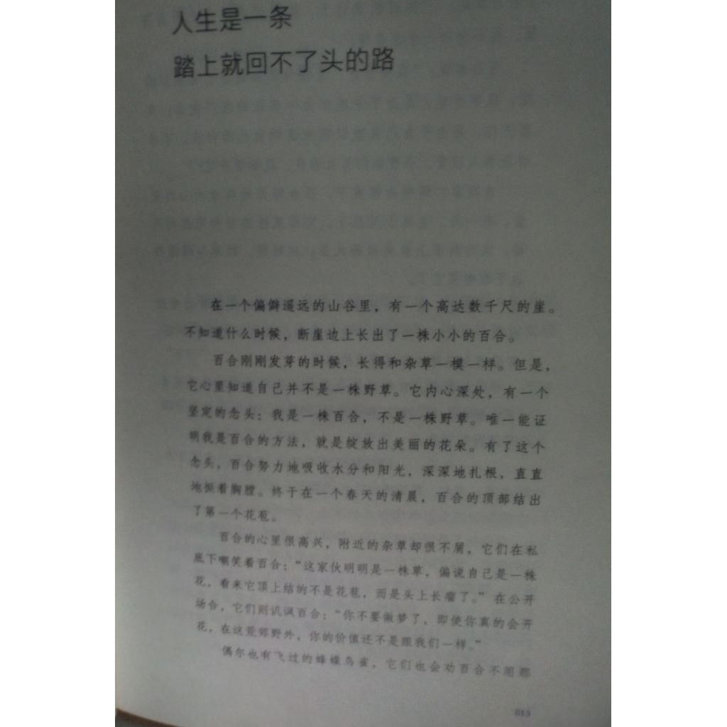my-11134207-820lf-mj3p47zpemti85