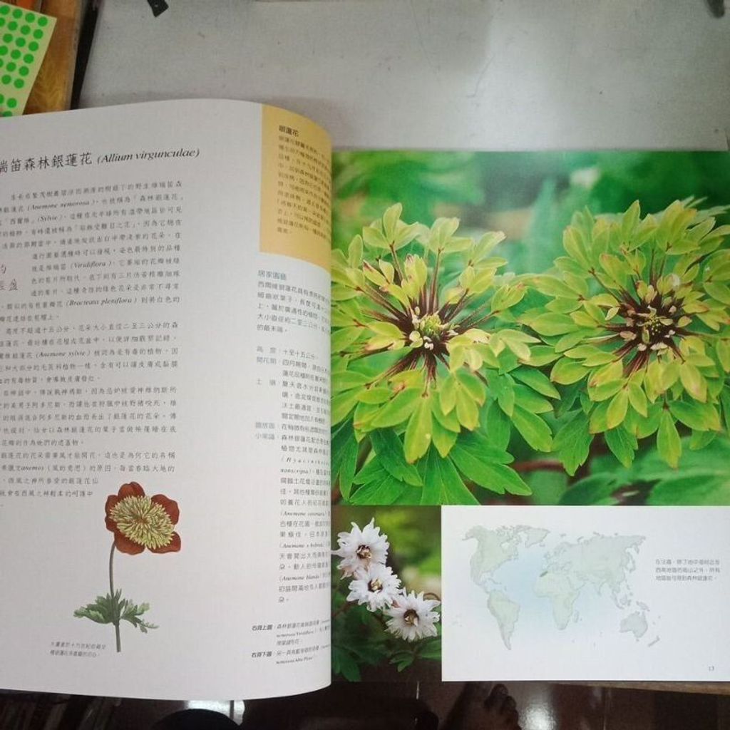 sg-11134201-823rf-mok0ylpjy2h830