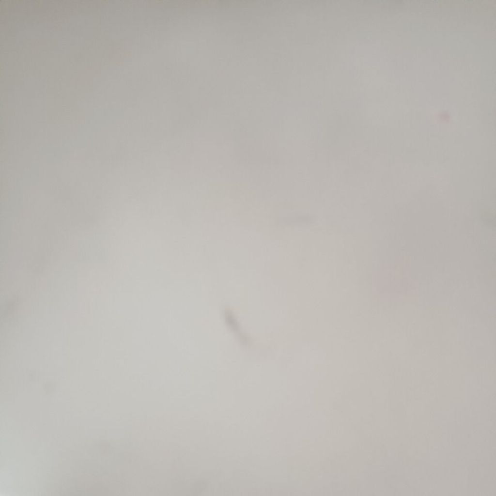 my-11134207-820lc-msqflh7zfpxh9f