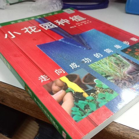 sg-11134201-823qk-mok03lpsk3rf76
