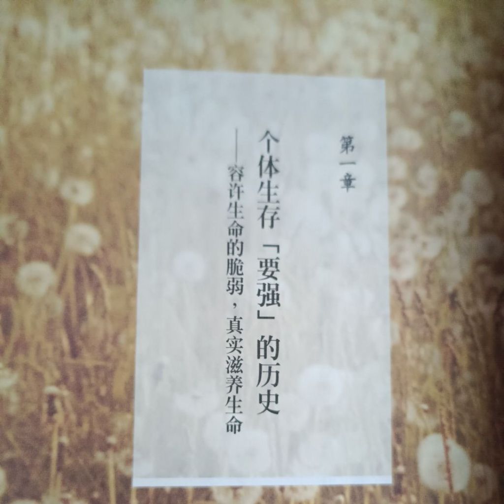 my-11134207-820lg-mq8q6cdrhiq35b