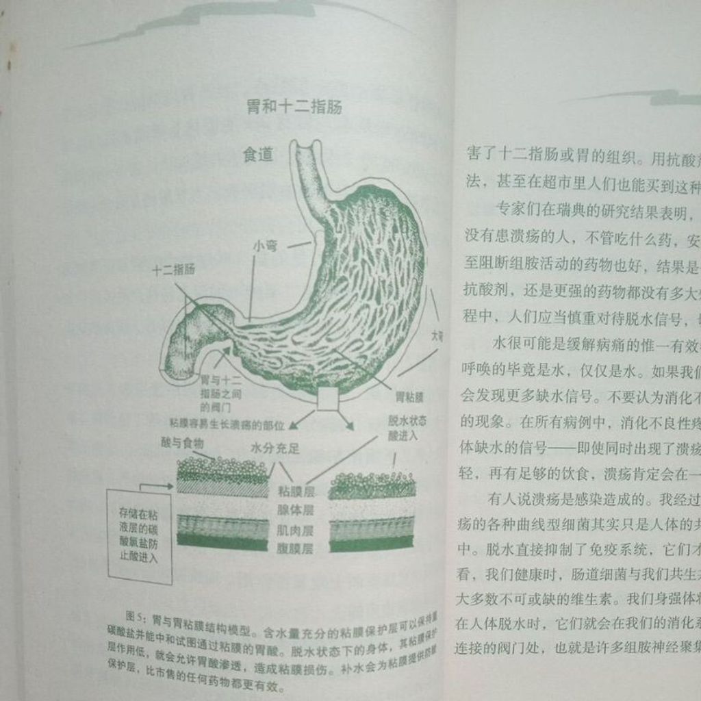 sg-11134201-7reo6-m8xcq25c9bmd07