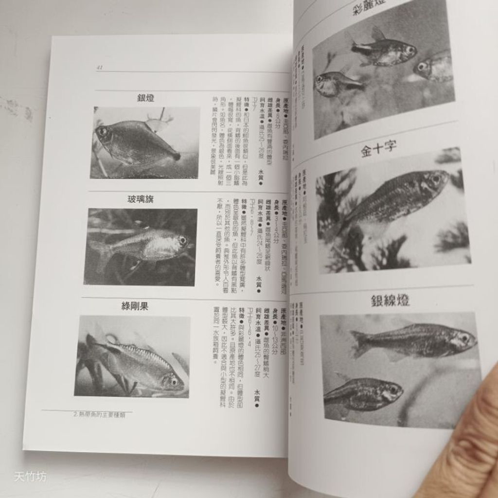 sg-11134201-7rena-m8xcsos1s06f39