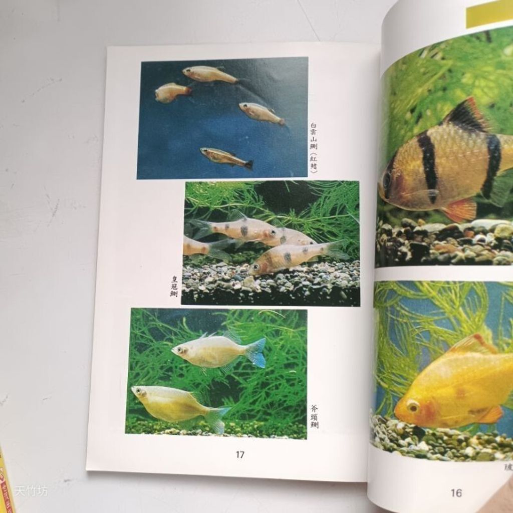 sg-11134201-7reoi-m8xcsp3zalk9a2