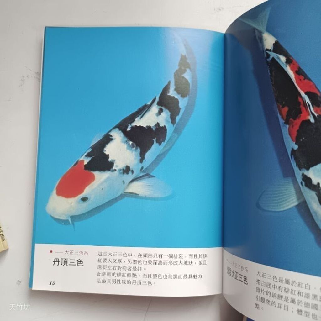 sg-11134201-7reqf-m8xcsn4o6xshe7