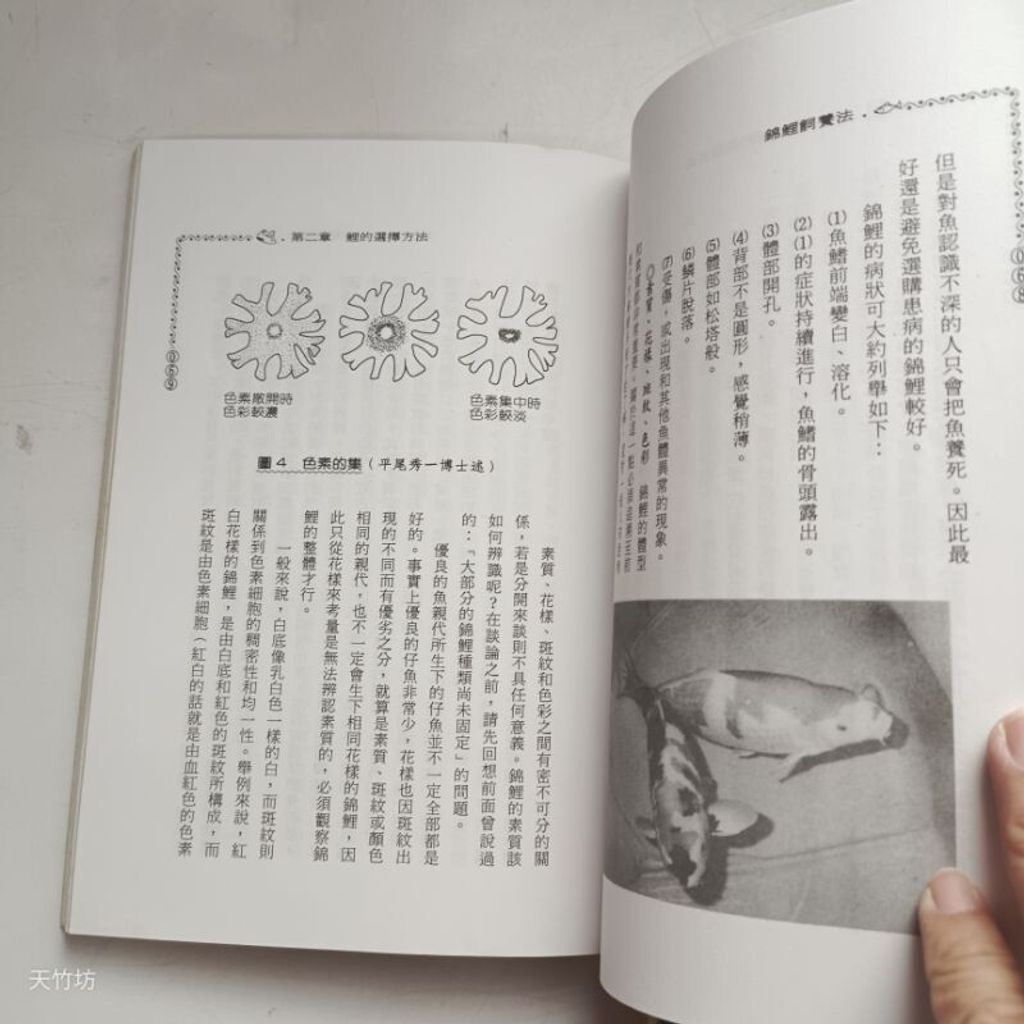 sg-11134201-7renz-m8xcsnhfpmf402