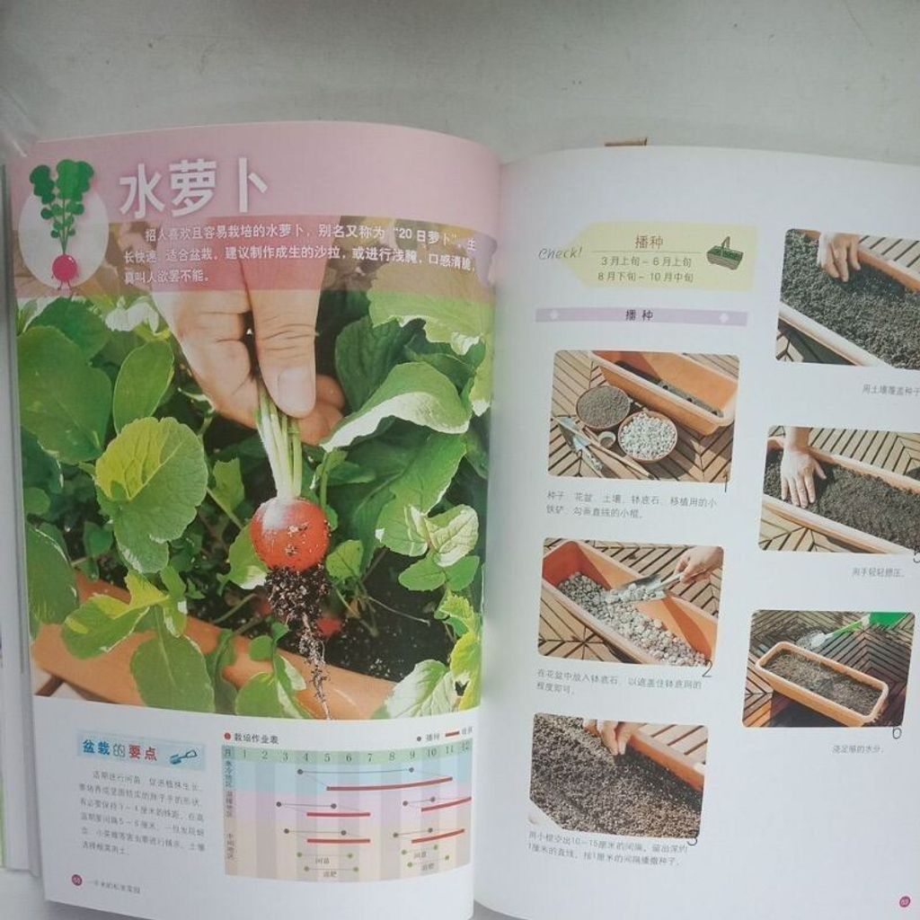 sg-11134201-7repf-m8xcwi9gl51c56