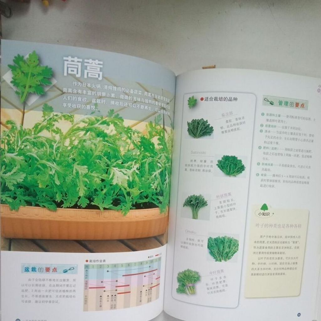 sg-11134201-7rep1-m8xcwim83xcyf7