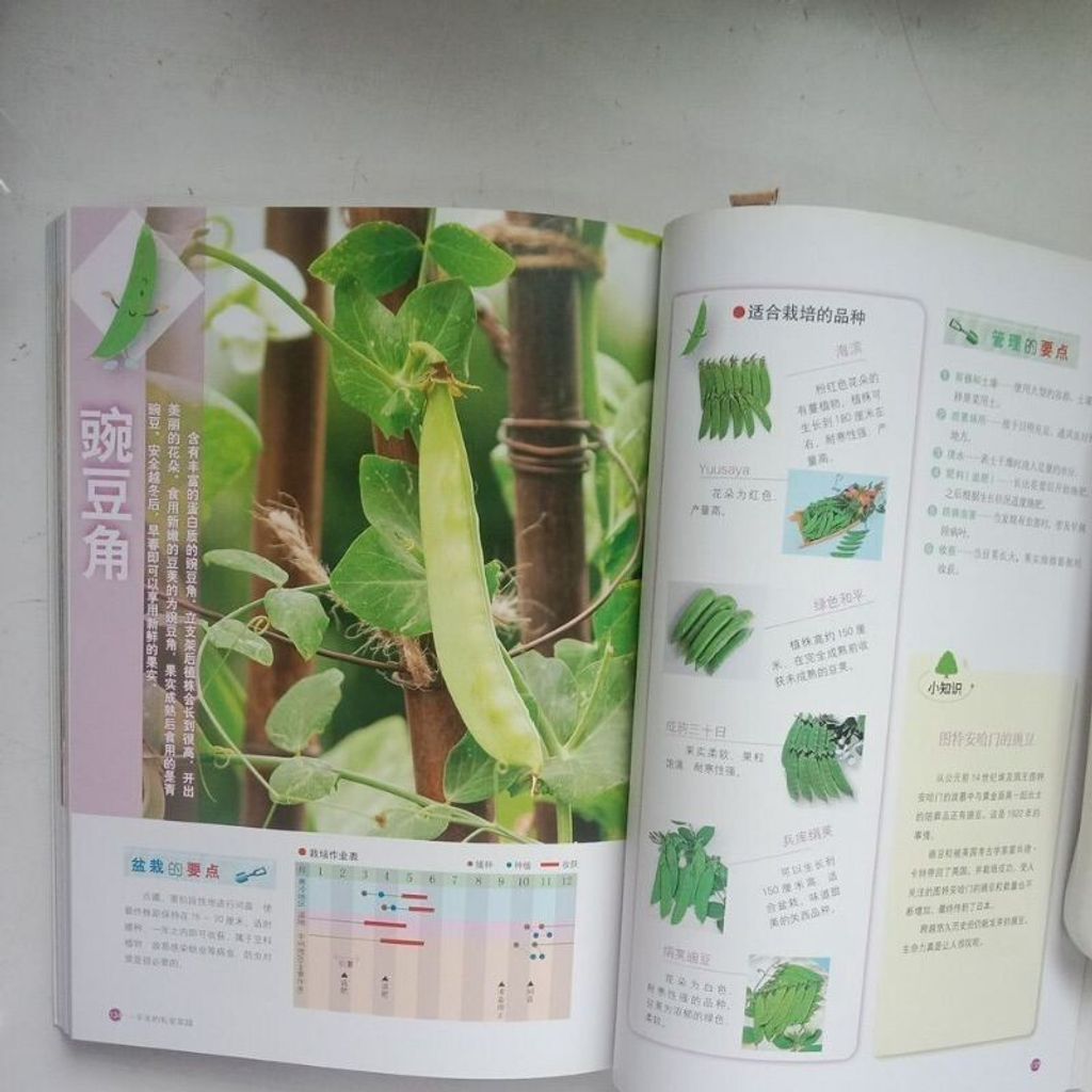 sg-11134201-7reo5-m8xcwiyplnixc0