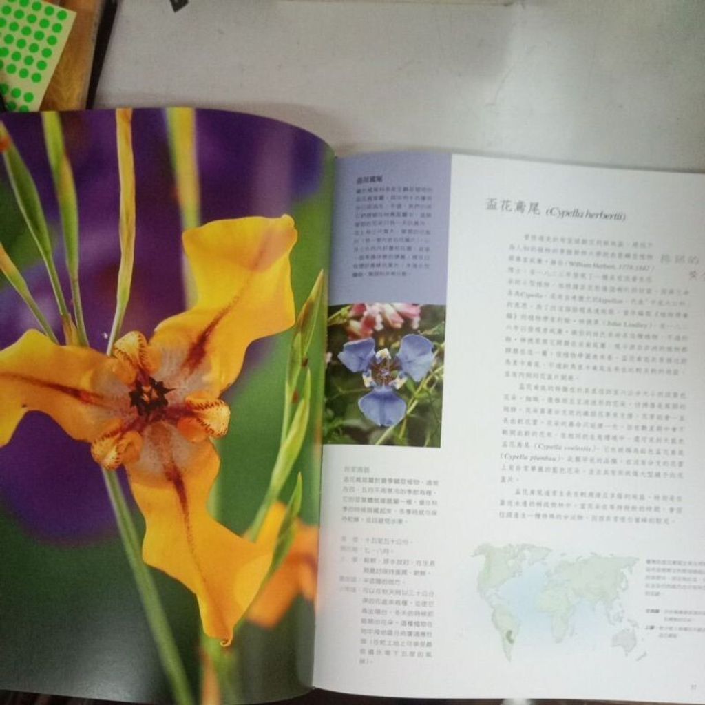 sg-11134201-7reqh-m8xd1o20p8sg4b