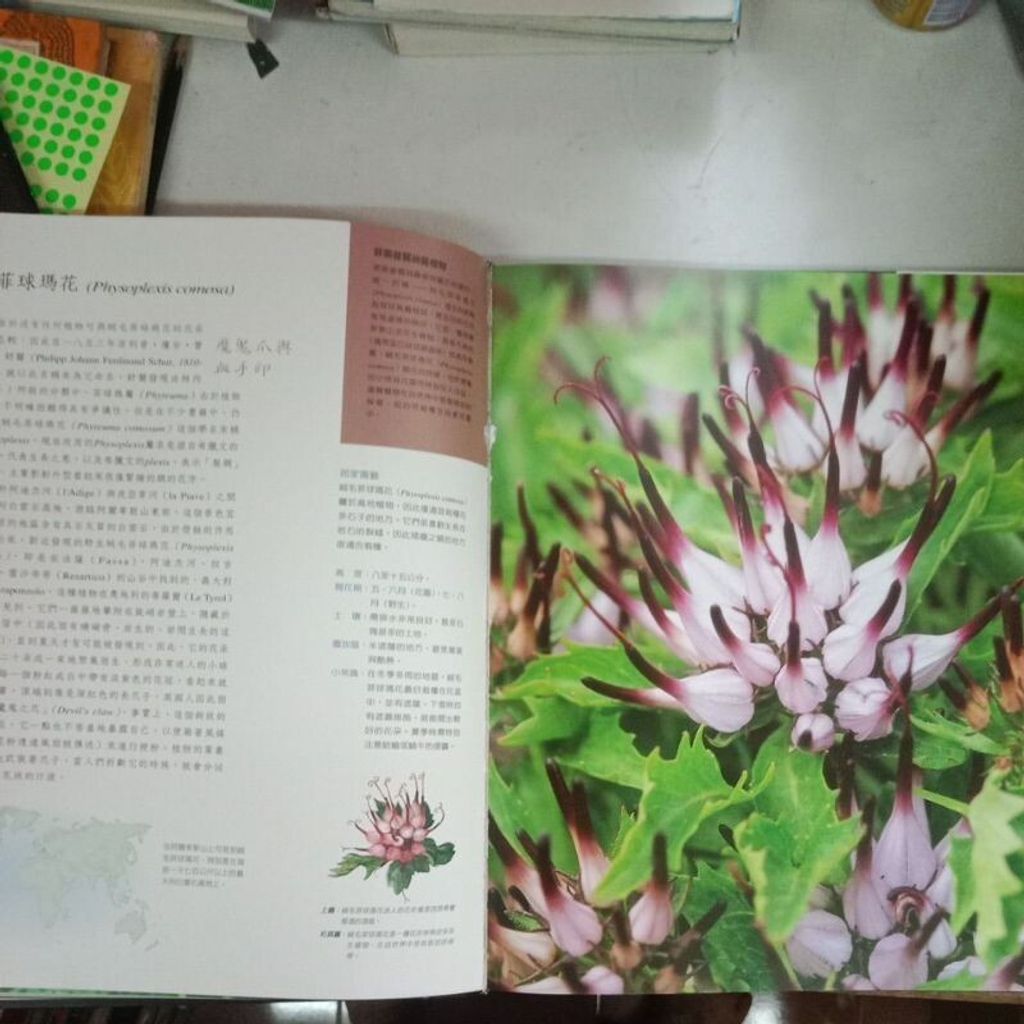 sg-11134201-7reoc-m8xd1oi41pd3cd