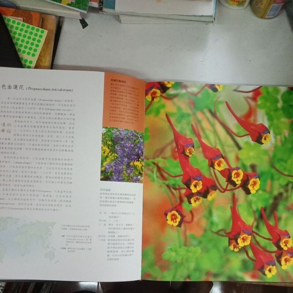 sg-11134201-7reoc-m8xd1ov5imcnd8