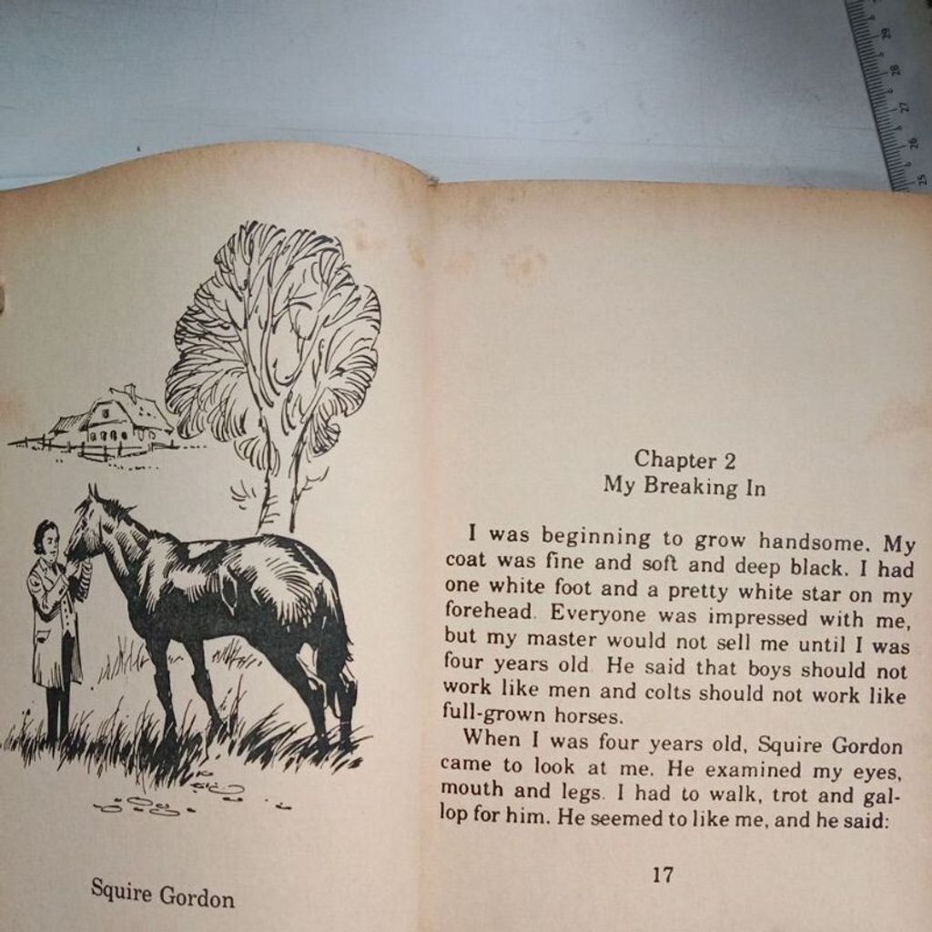 sg-11134201-7reqe-m8xd2v5bn53l42