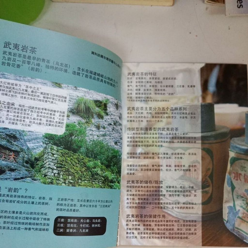 sg-11134201-7req0-m8xd831moevt5c