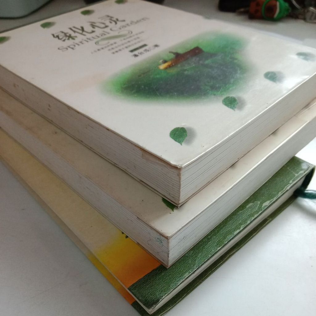 my-11134207-7rasf-magkgrn6cduz8b