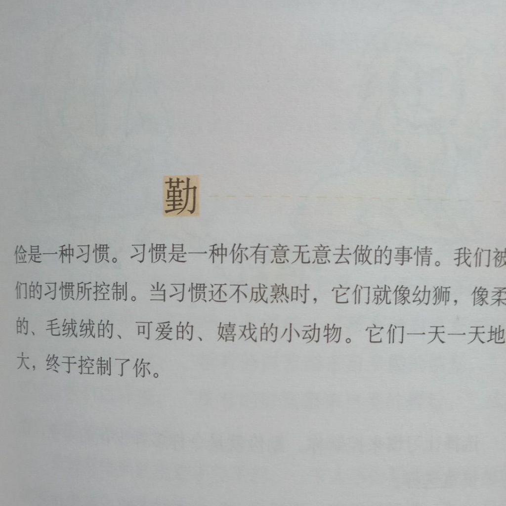 my-11134207-7rasb-maqqe7u1a5grb8