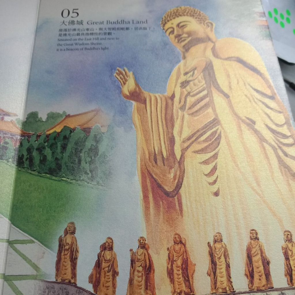 my-11134207-7rash-maza35fae4fq5d