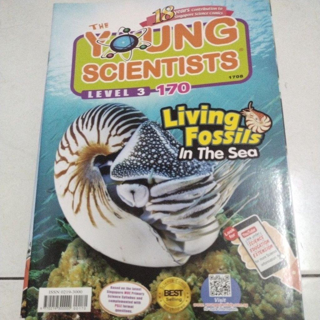 my-11134207-7rasm-mc3mnq7vq8nr8a