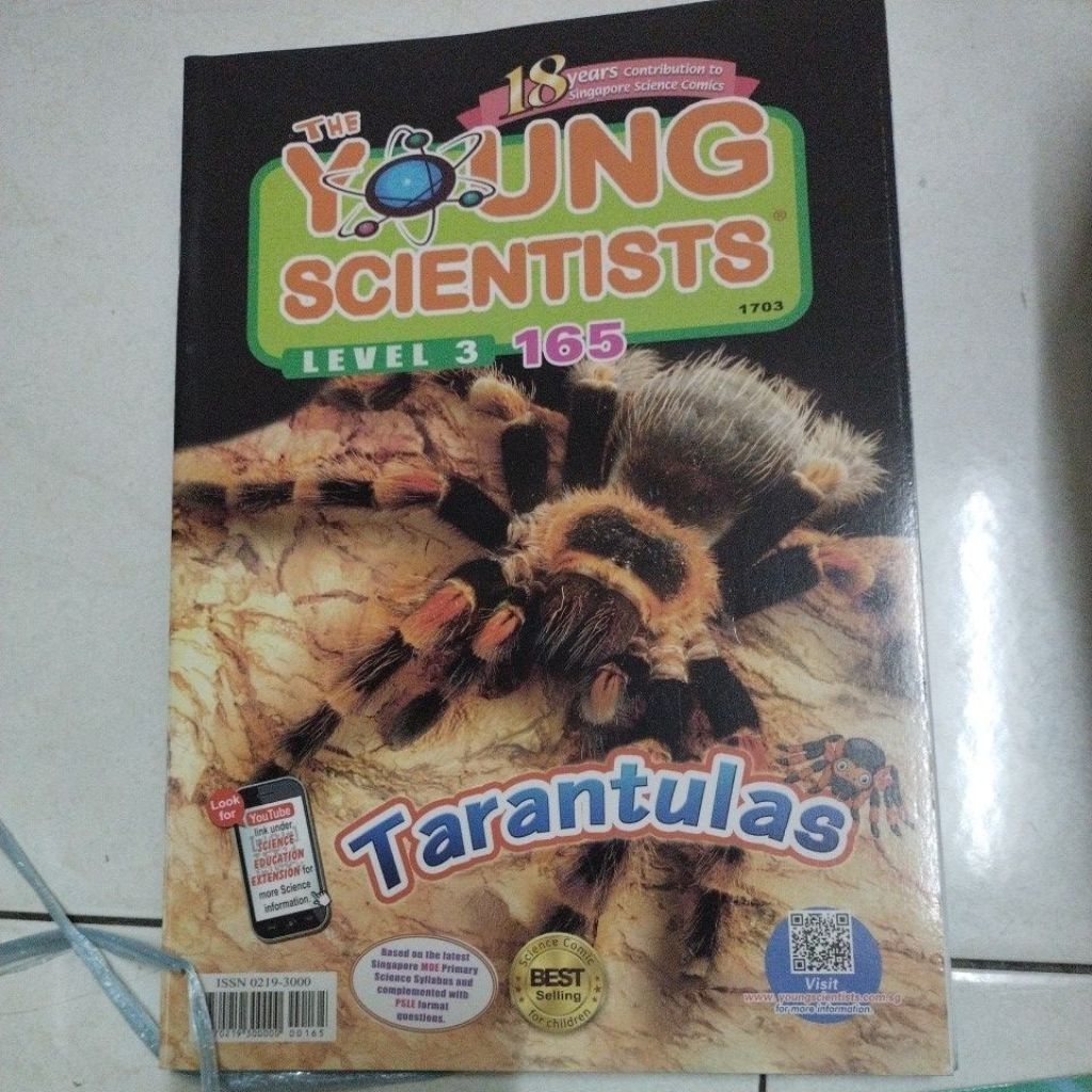 my-11134207-7rasc-mc46yskvpydzeb