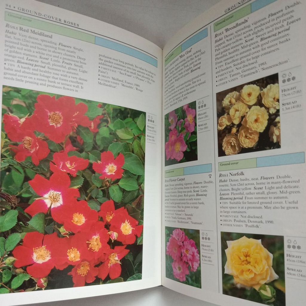 my-11134207-7rasd-mc4gy8w37xqu58