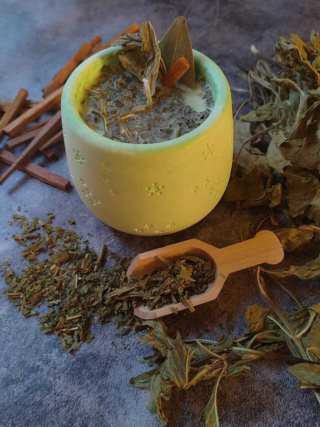 WhatsApp Image 2025-09-05 at 17.33.25 (1)