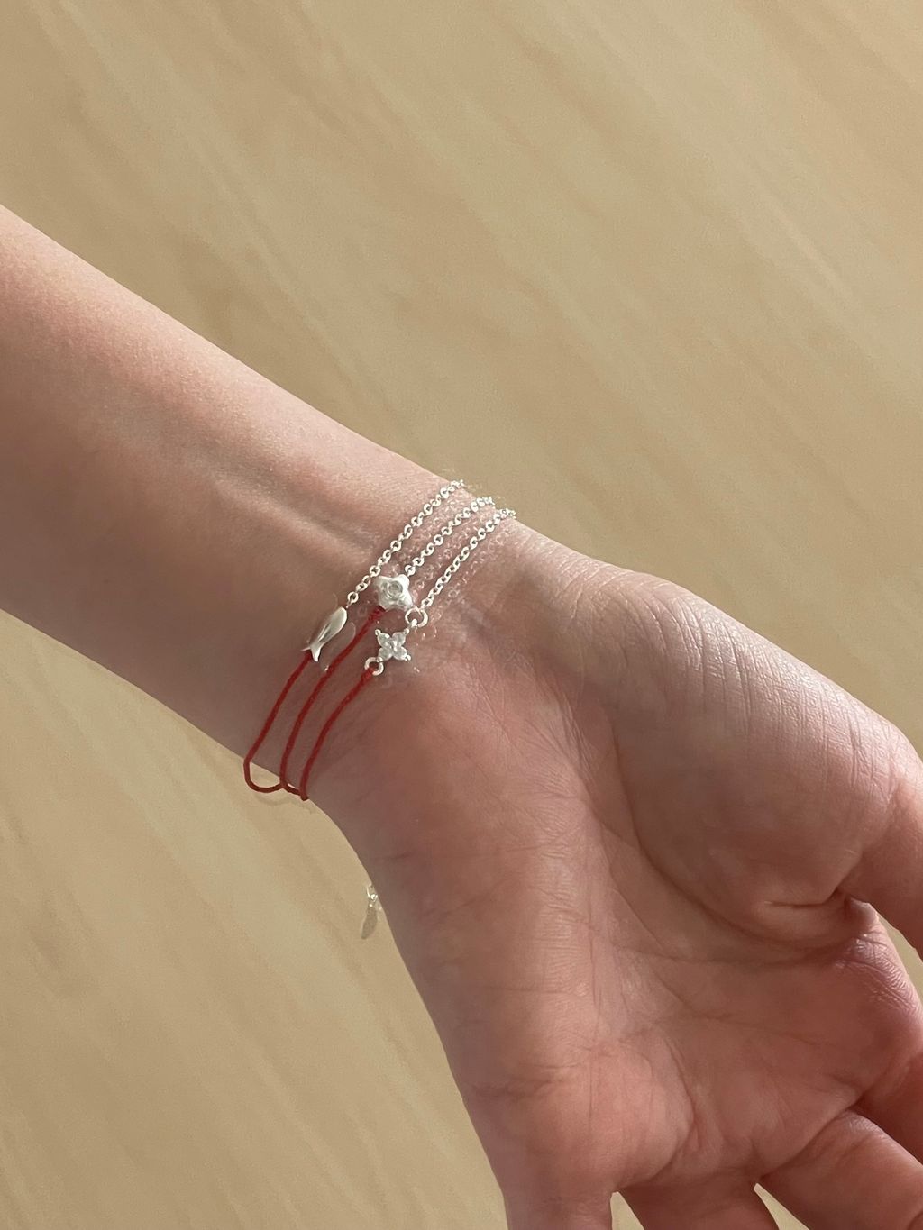 image_10EE86D7-2F09-496D-9525-CA20B484E662_1775040073