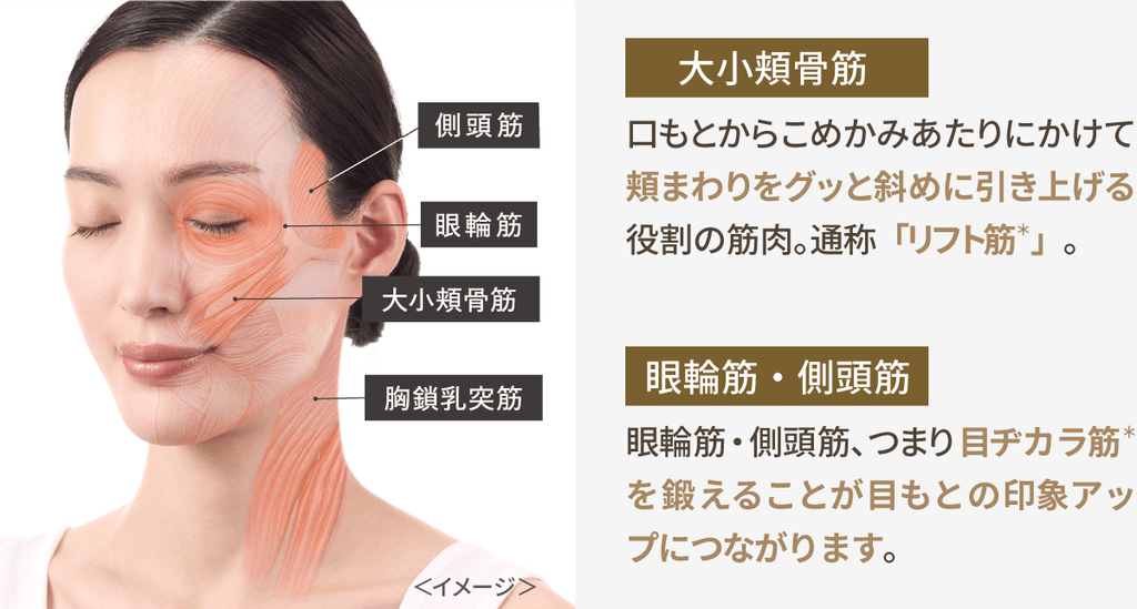 feature_deeplift_muscle