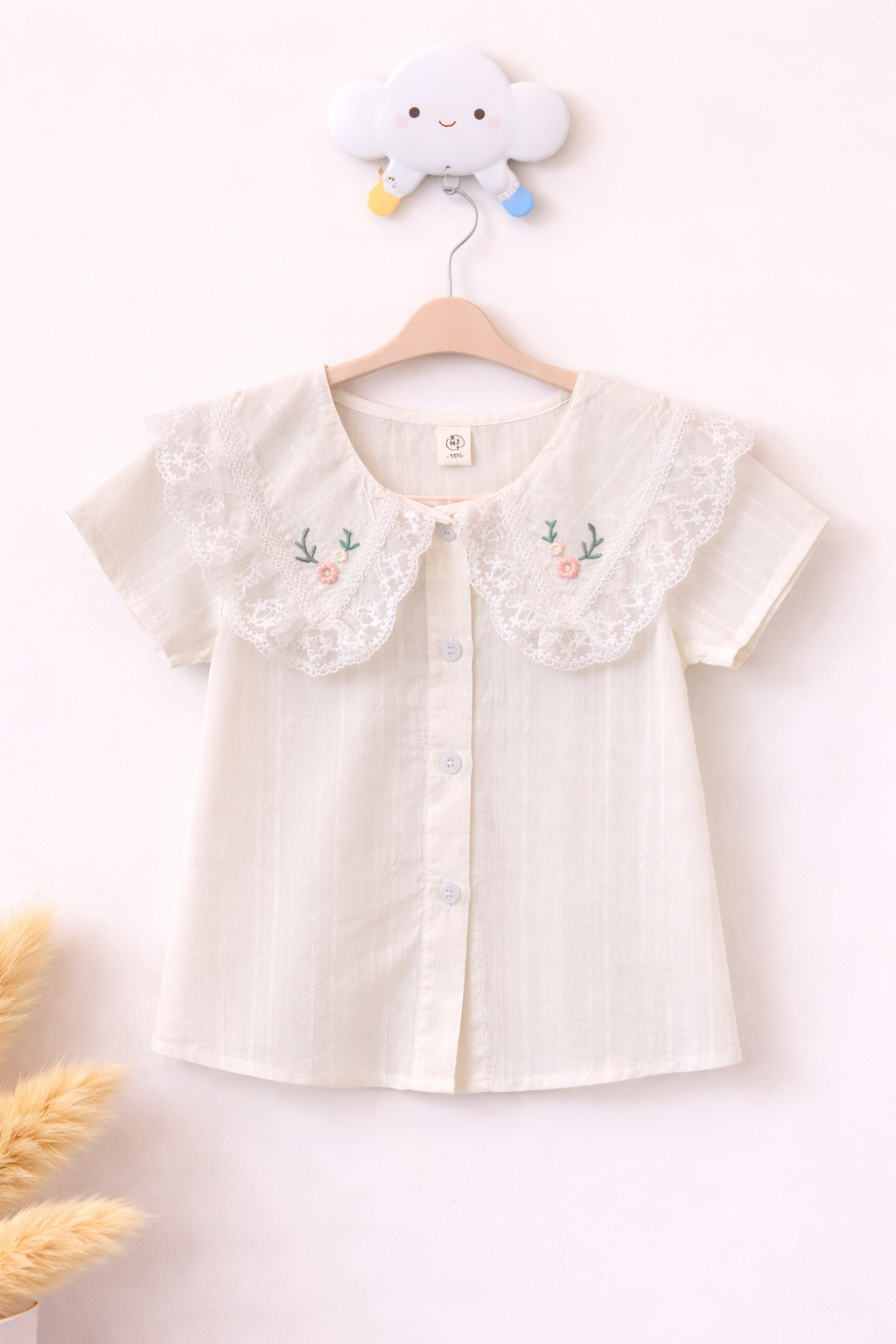 Delicate blouse on cloud hook