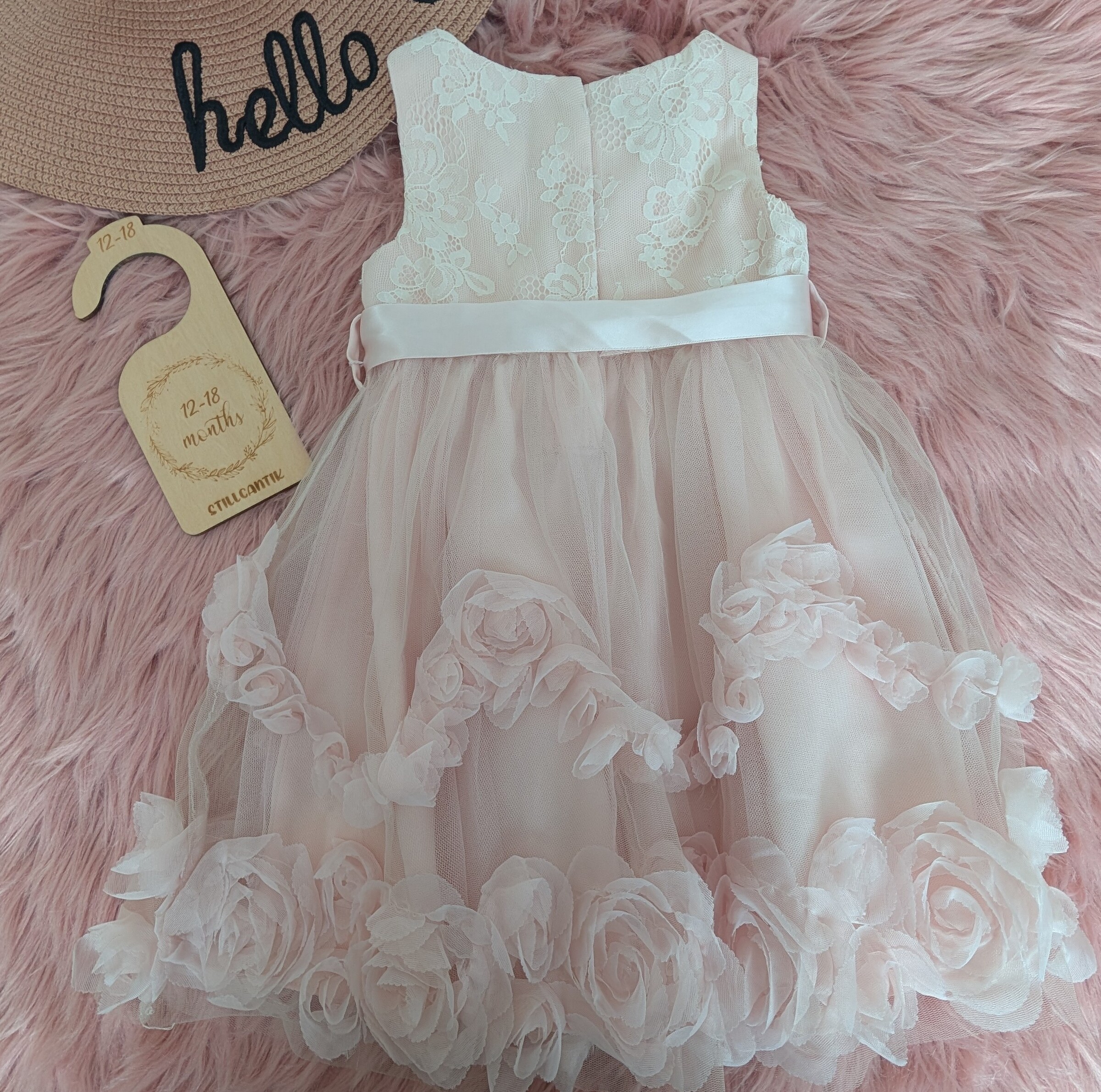 PXL_20251025_035531483