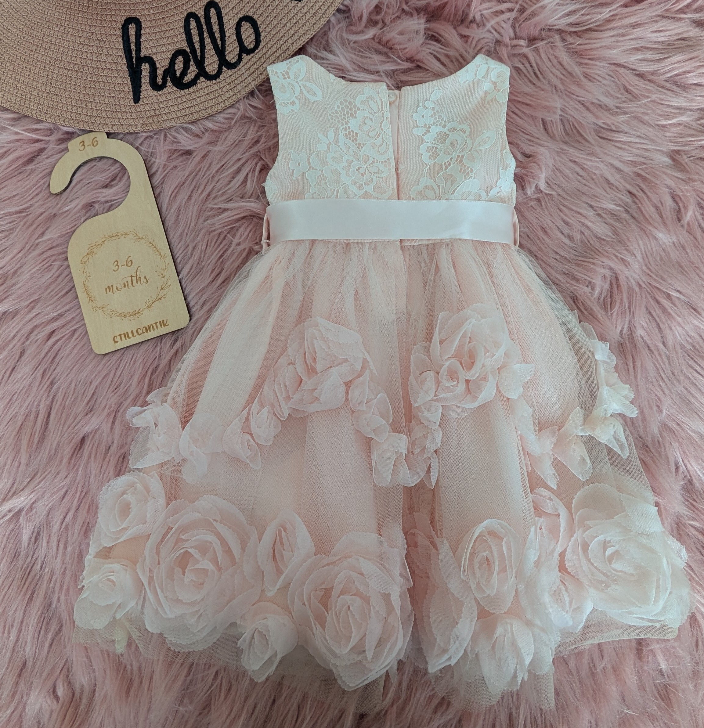 PXL_20251025_035845039