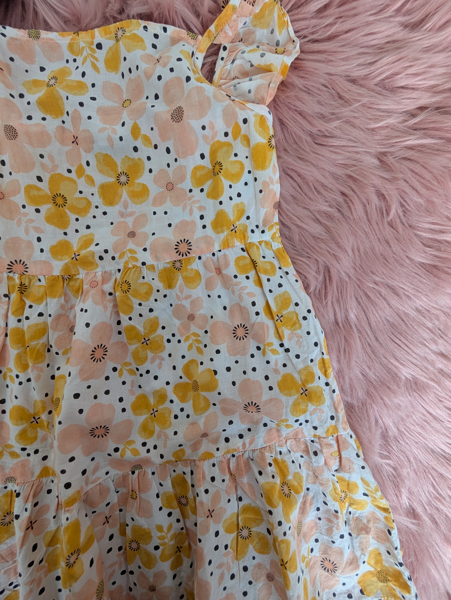 PXL_20251025_040338317